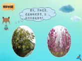 二年级科学下册第2单元春和夏5做个绿色小使者课件冀人版