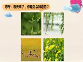 二年级科学下册第2单元春和夏4春天来了课件冀人版