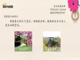二年级科学下册第2单元春和夏4春天来了课件冀人版