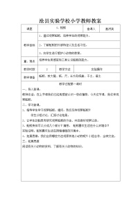 小学4 蚯蚓教案设计