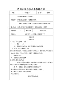 小学科学冀教版三年级上册8 水与生命教案及反思