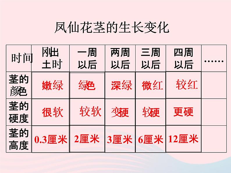 三年级科学下册第一单元植物的生长变化5茎越长越高课件1教科版04