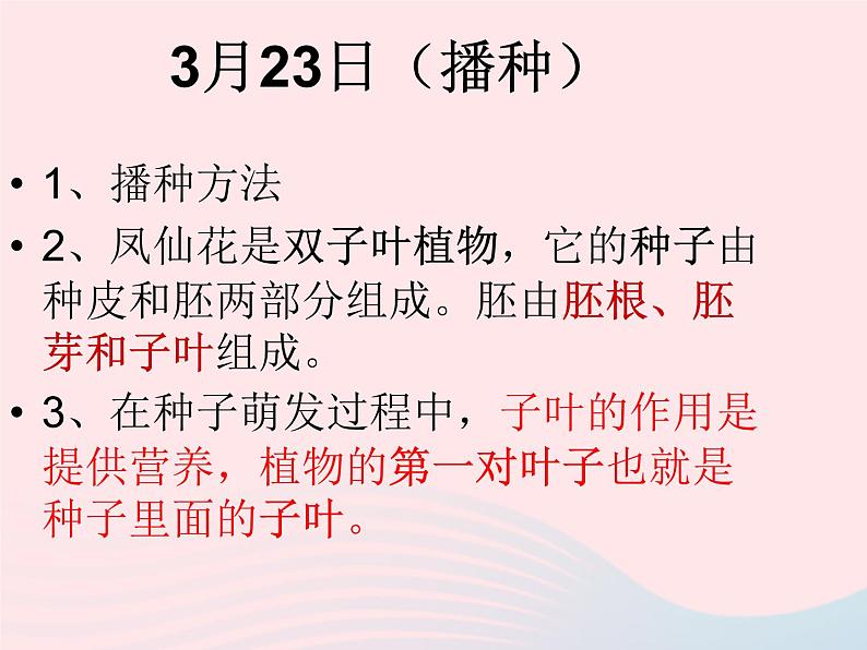 三年级科学下册第一单元植物的生长变化4种子变成了幼苗课件1教科版03