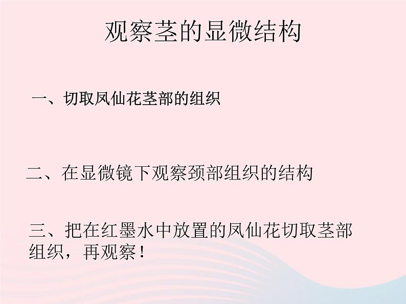 三年级科学下册第一单元植物的生长变化5茎越长越高课件2教科版07