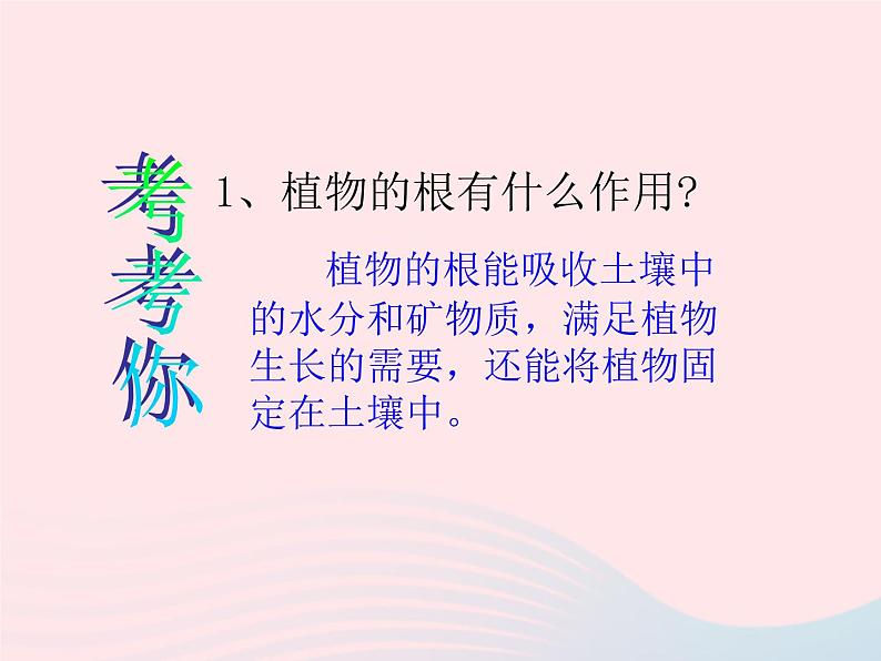 三年级科学下册第一单元植物的生长变化5《茎越长越高》课件教科版02