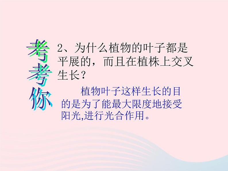 三年级科学下册第一单元植物的生长变化5《茎越长越高》课件教科版03