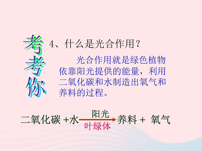 三年级科学下册第一单元植物的生长变化5《茎越长越高》课件教科版05