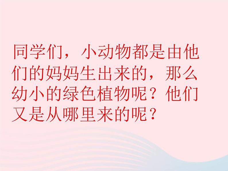 植物新生命的开始PPT课件免费下载05