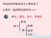三年级科学下册第一单元植物的生长变化7我们的大丰收课件1教科版