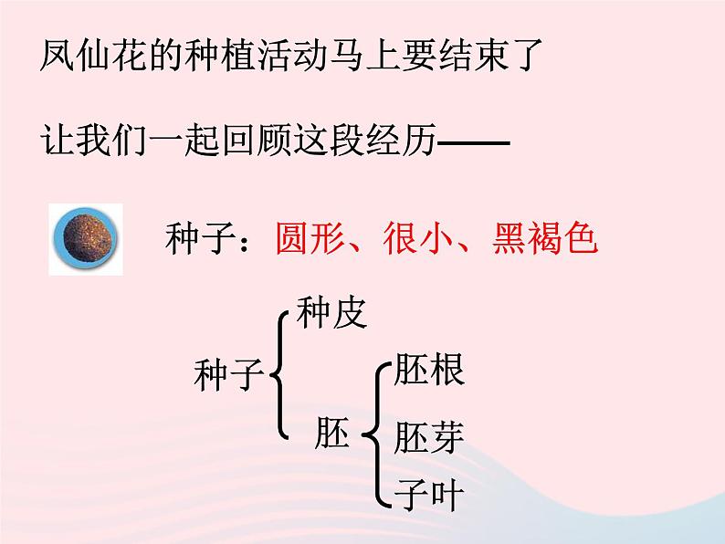 三年级科学下册第一单元植物的生长变化7我们的大丰收课件1教科版02