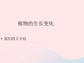 三年级科学下册第一单元植物的生长变化7我们的大丰收课件2教科版