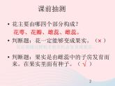 三年级科学下册第一单元植物的生长变化7我们的大丰收课件2教科版