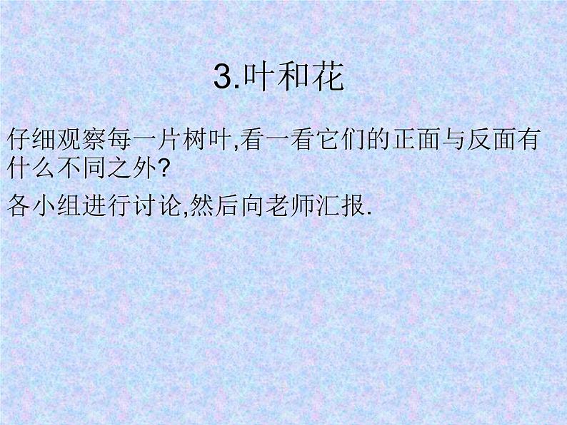 苏教版（三起）三年级下册科学第二单元3、叶和花(精)第1页