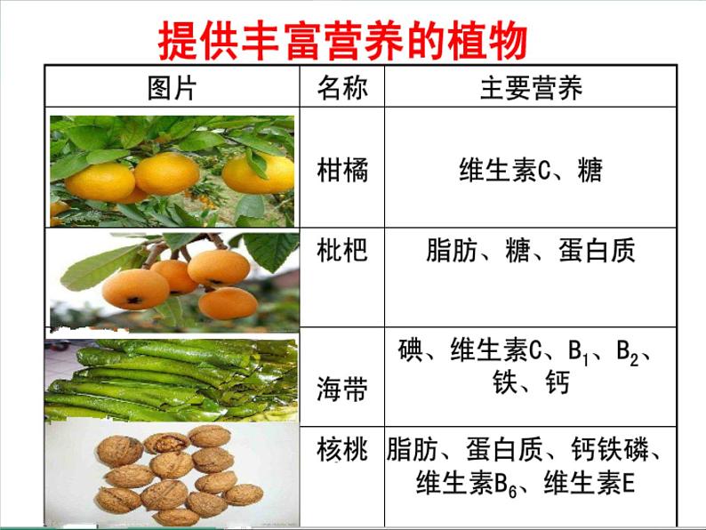 苏教版（三起）三年级下册科学第二单元4《植物和我们》课件305