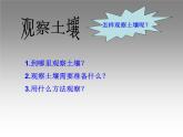 苏教版（三起）三年级下册科学第一单元1、我们周围的土壤-课件