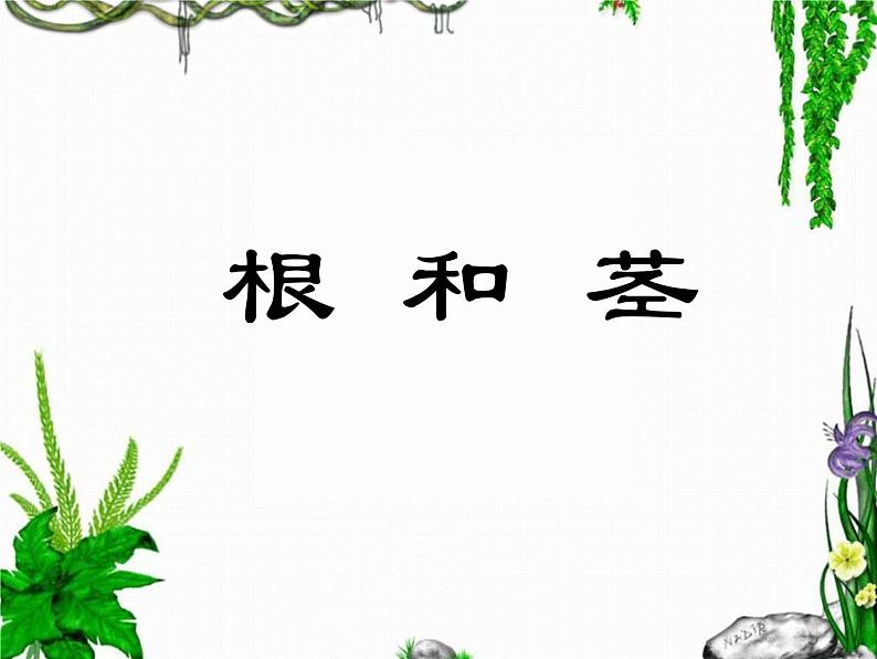 苏教版（三起）三年级下册科学第二单元2《根和茎》 课件01