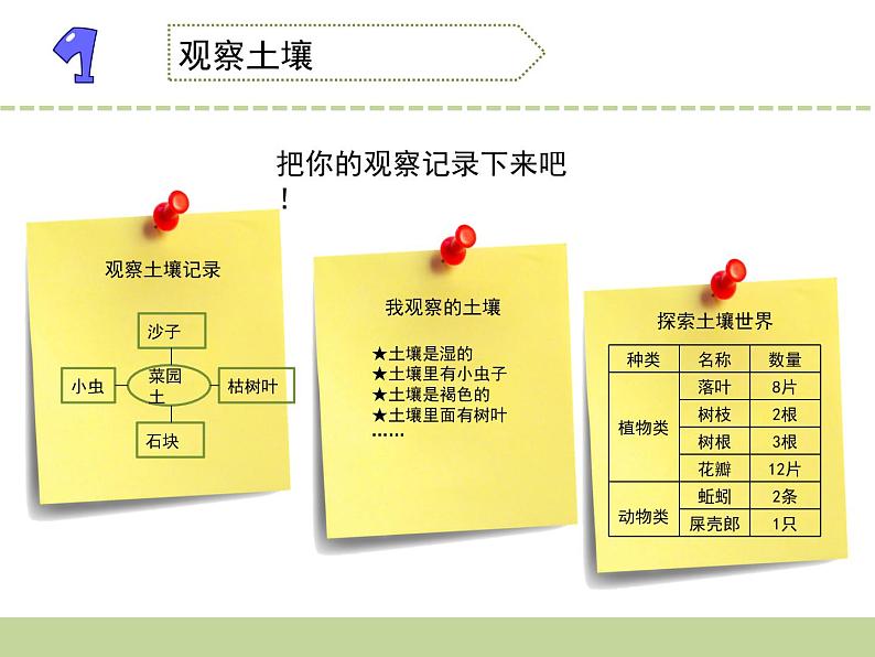 苏教版（三起）三年级下册科学第一单元2《了解土壤》 课件05