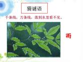 苏教版（三起）三年级下册科学第四单元3、雨下得有多大 课件