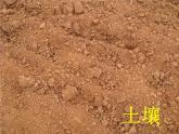 苏教版（三起）三年级下册科学第一单元4《土壤的保护》课件1