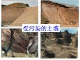 苏教版（三起）三年级下册科学第一单元4《土壤的保护》课件1