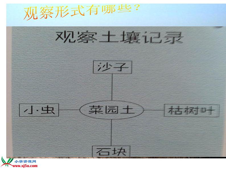 苏教版（三起）三年级下册科学第一单元2、了解土壤 PPT课件08