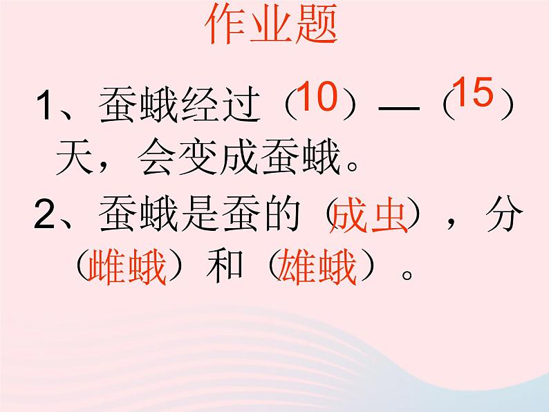 三年级科学下册第二单元动物的生命周期4蛹变成了什么课件1教科版06