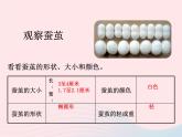 蚕变了新模样PPT课件免费下载