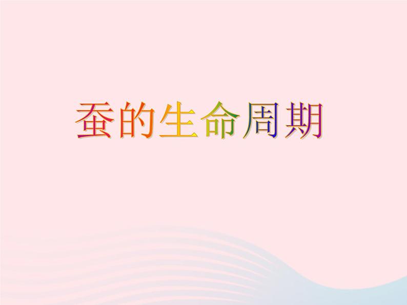 三年级科学下册第二单元动物的生命周期5蚕的生命周期课件3教科版01