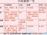 三年级科学下册第二单元动物的生命周期5蚕的生命周期课件3教科版