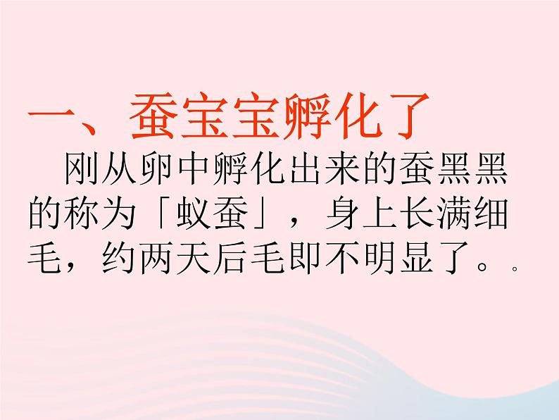 三年级科学下册第二单元动物的生命周期5蚕的生命周期课件3教科版08