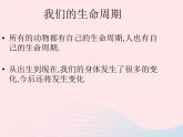 三年级科学下册第二单元动物的生命周期7《我们的生命周期》课件教科版