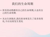 教科版三年级下册7.我们的生命周期说课ppt课件