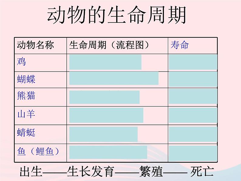 三年级科学下册第二单元动物的生命周期6其他动物的生命周期课件教科版03