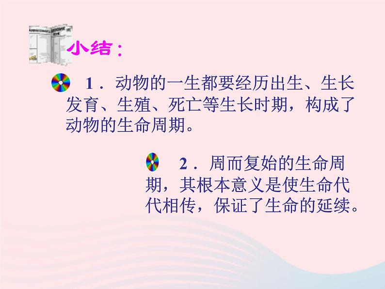 三年级科学下册第二单元动物的生命周期6其他动物的生命周期课件教科版04