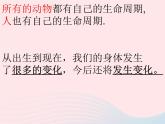 三年级科学下册第二单元动物的生命周期7我们的生命周期课件4教科版