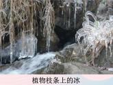 三年级科学下册第三单元温度与水的变化3水结冰了课件教科版