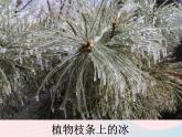 三年级科学下册第三单元温度与水的变化3水结冰了课件教科版