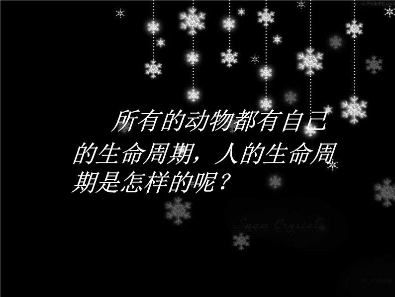 三年级科学下册第二单元动物的生命周期7我们的生命周期课件2教科版02