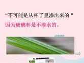 三年级科学下册第三单元温度与水的变化5《水珠从哪里来》课件教科版