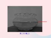 三年级科学下册第三单元温度与水的变化6水和水蒸气课件教科版