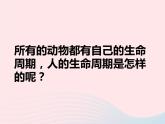 三年级科学下册第二单元动物的生命周期7我们的生命周期课件教科版