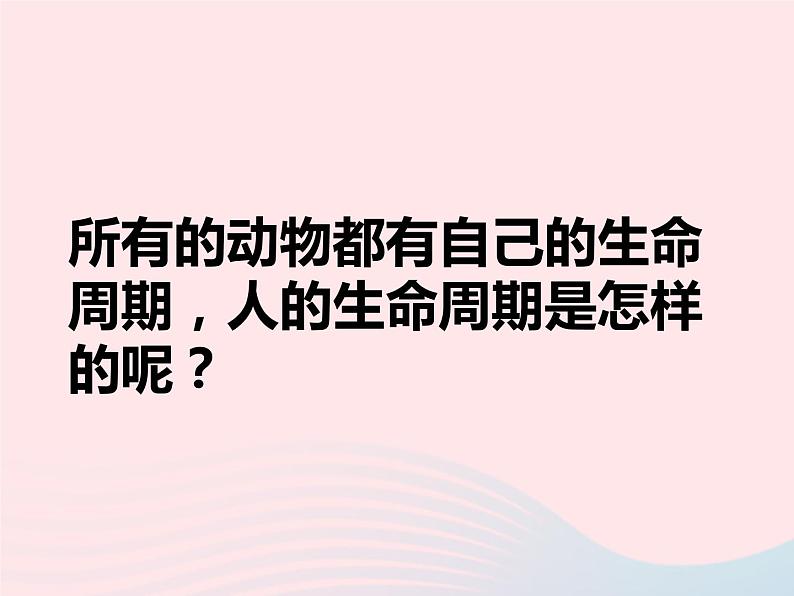 三年级科学下册第二单元动物的生命周期7我们的生命周期课件教科版01