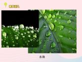 三年级科学下册第三单元温度与水的变化5水珠从哪里来课件1教科版