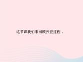 三年级科学下册第二单元动物的生命周期5蚕的生命周期课件2教科版