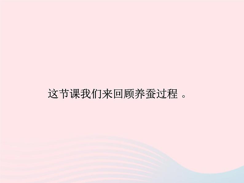 三年级科学下册第二单元动物的生命周期5蚕的生命周期课件2教科版02