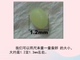 三年级科学下册第二单元动物的生命周期5蚕的生命周期课件2教科版