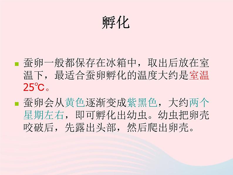 三年级科学下册第二单元动物的生命周期5蚕的生命周期课件2教科版06