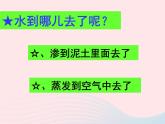 三年级科学下册第三单元温度与水的变化6水和水蒸气课件3教科版