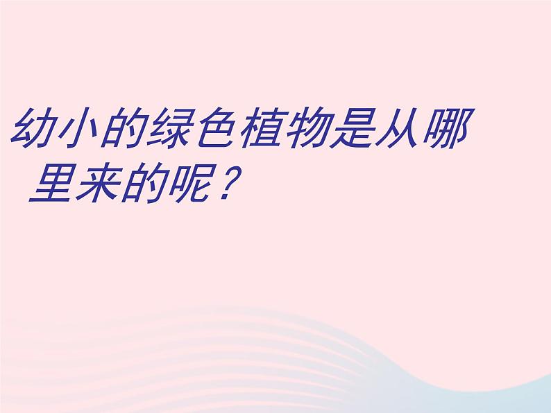 三年级科学下册第一单元植物的生长变化1植物新生命的开始课件2教科版08