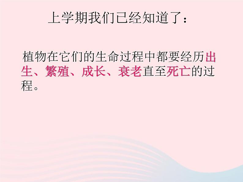 三年级科学下册第一单元植物的生长变化1《植物新生命的开始》课件1教科版04